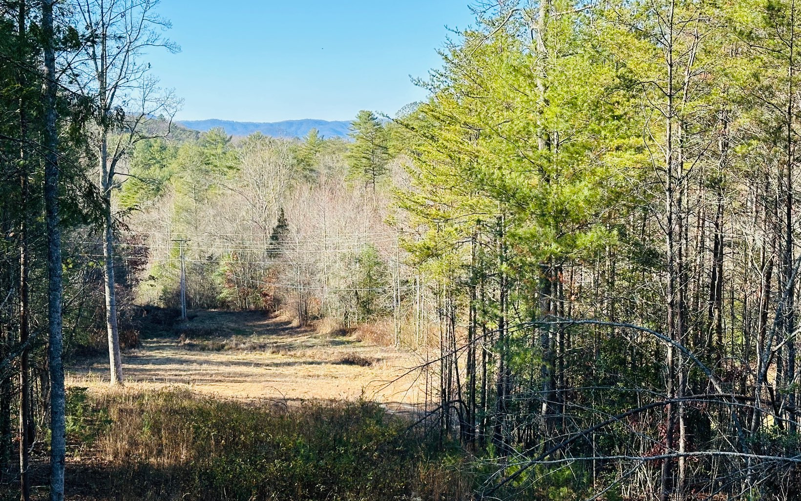 4 Serenity View Blue Ridge, GA 30513 - Photo 18 of 23 Additional View