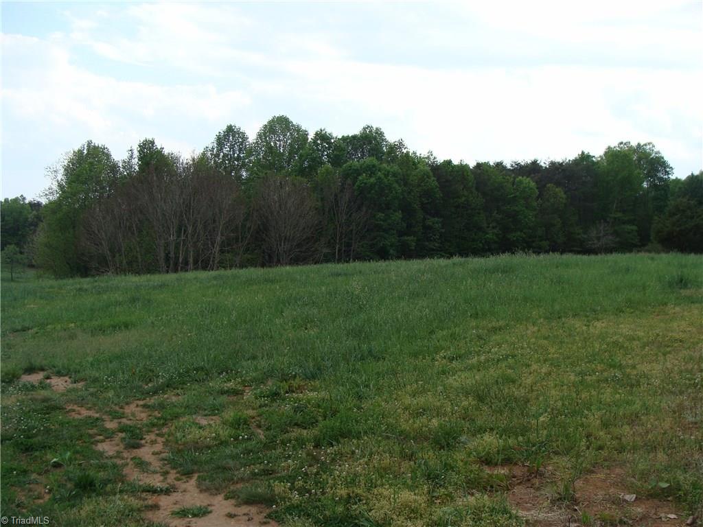 Lot 5 Whisper Ridge Lane Elkin, NC 28621 - Photo 3 of 5 Gallery Image 3
