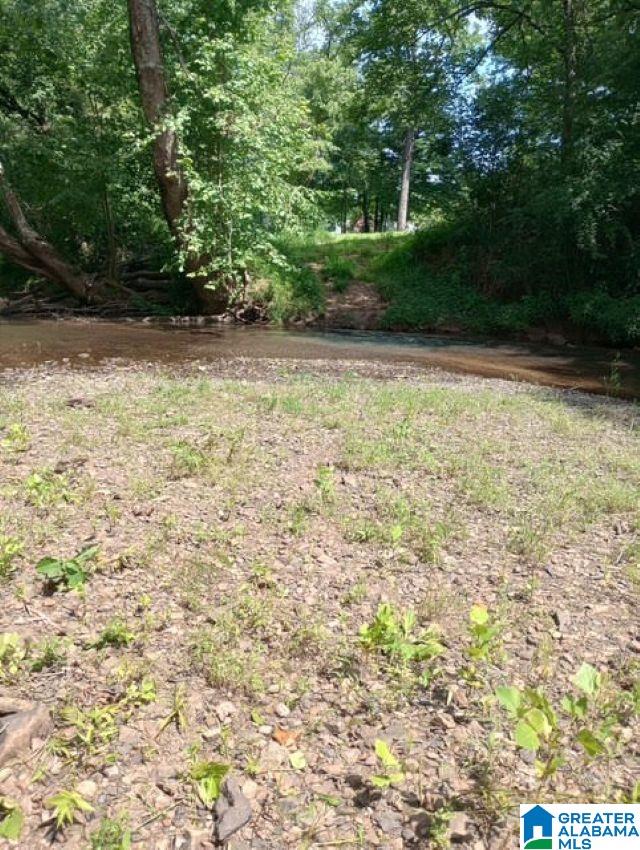 5100 Washington Valley Road, Unit PARCEL #1 Springville, AL 35146 - Photo 18 of 20