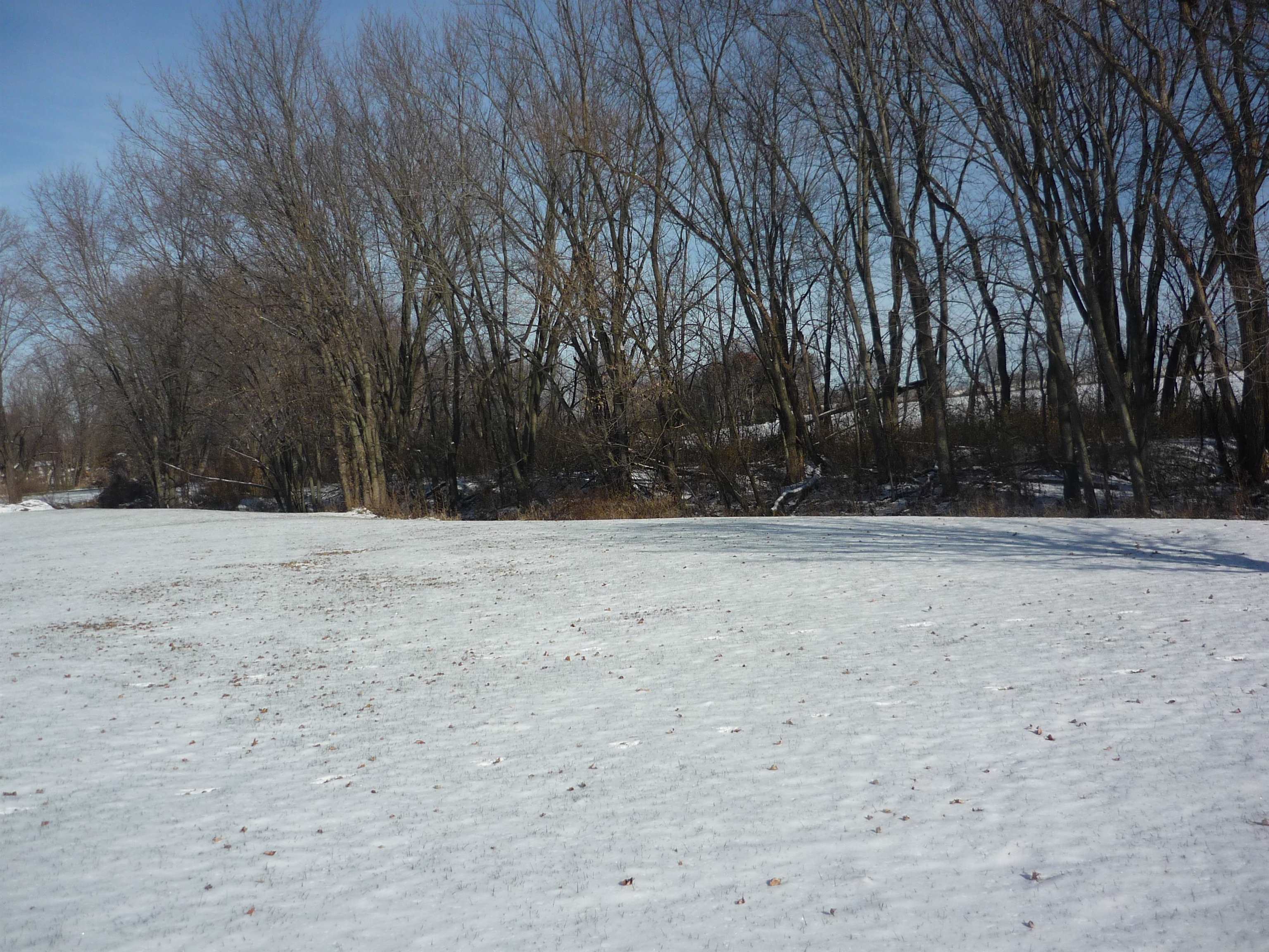 8539 North Pecatonica Road Pecatonica, IL 61063 - Photo 7 of 23 a view of outdoor space with yard