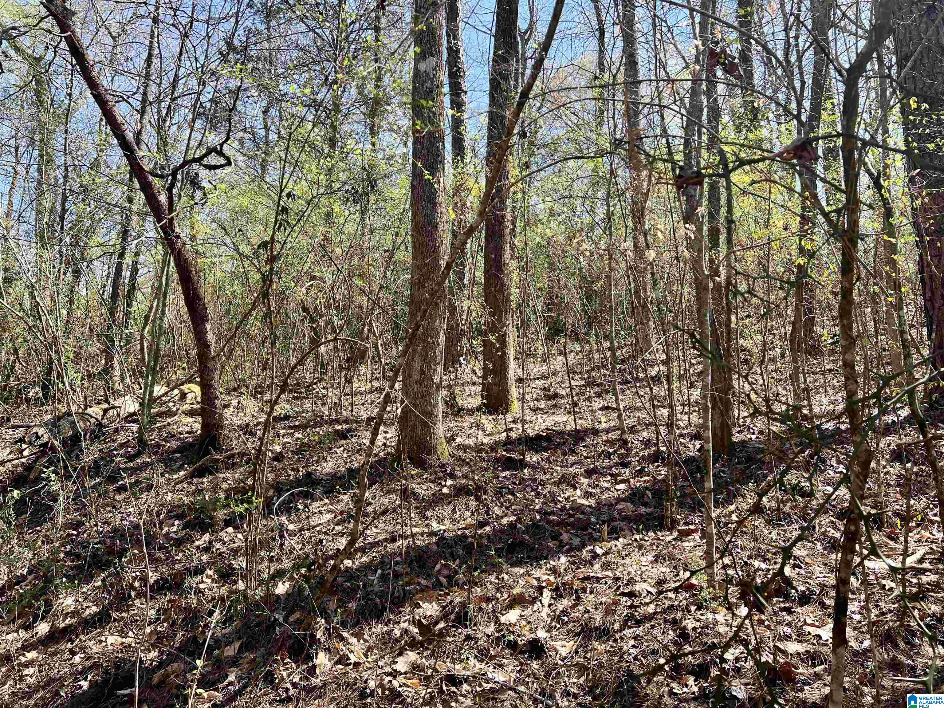 6478 Red Hollow Road, Unit 240 Birmingham, AL 35215 - Photo 29 of 38