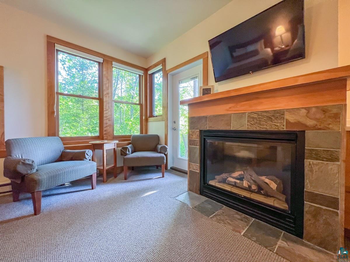 504 Poplar River Road, Unit 504 Lutsen, MN 55612 - Photo 17 of 47