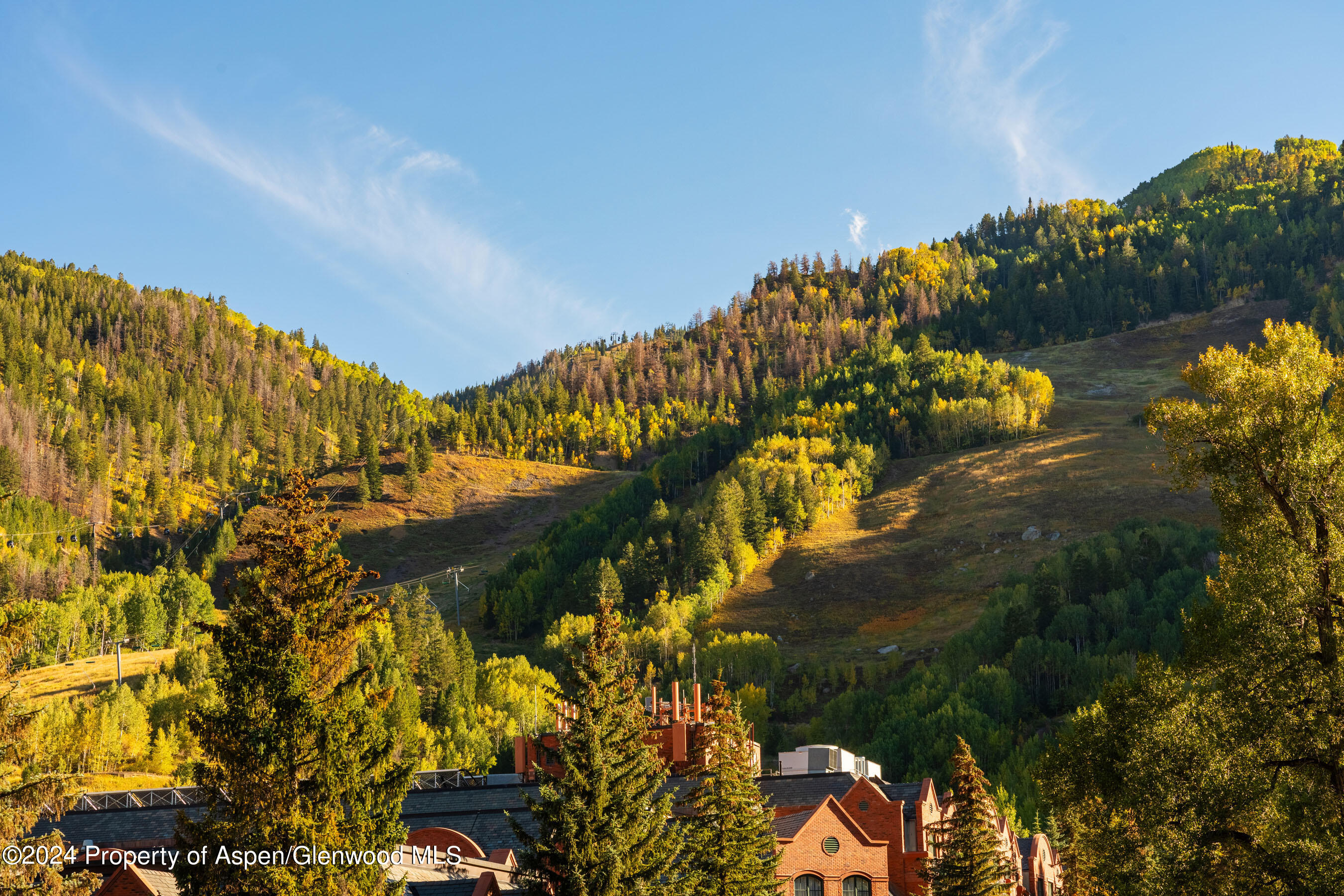 405 South Monarch Street, Unit P2 Aspen, CO 81611 - Photo 34 of 34 Views