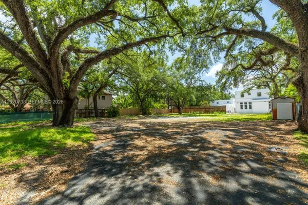a view of a trees with a yard
