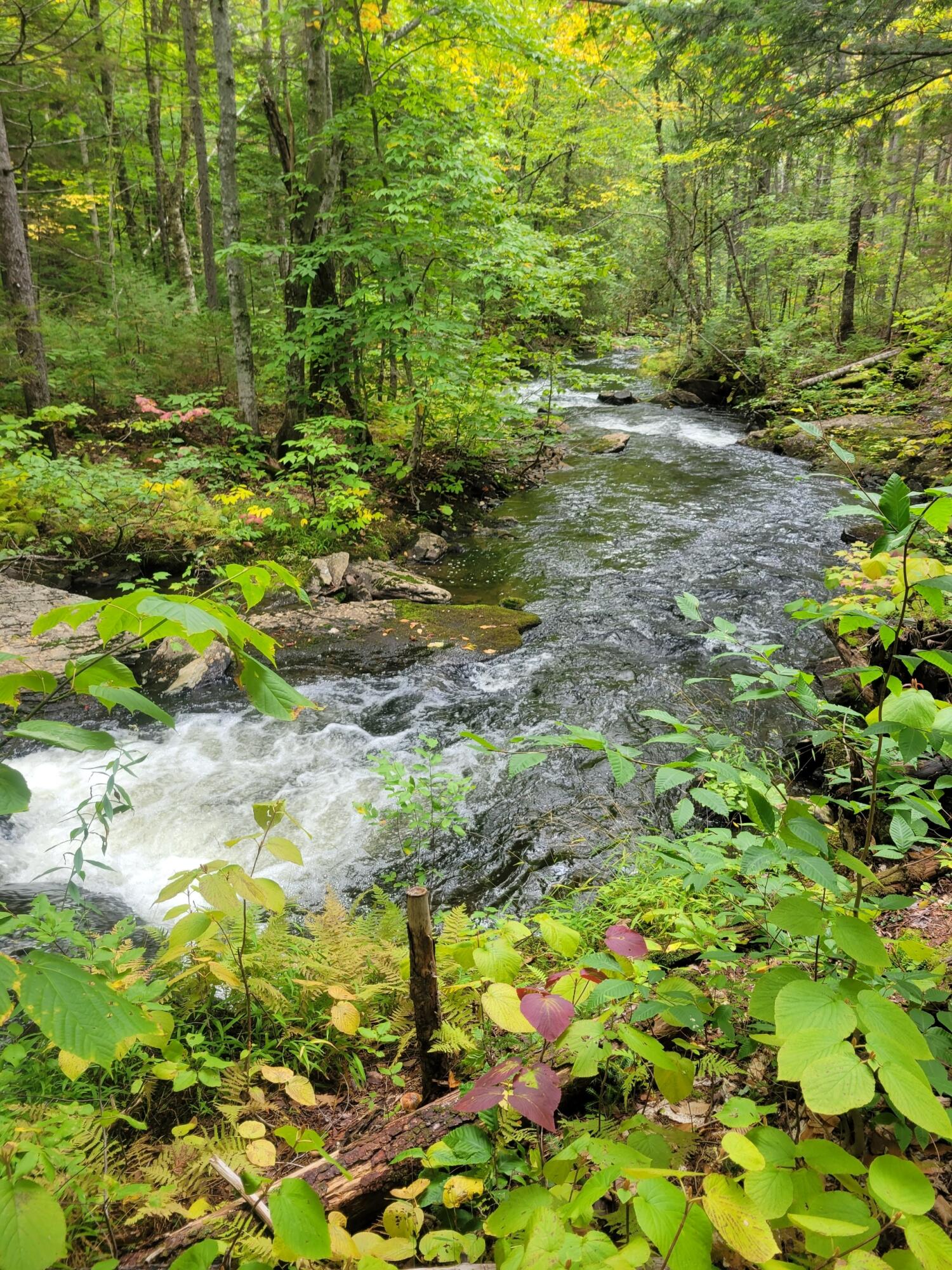 32 Main Street Sandy River Plt, ME 04970 - Photo 11 of 11 Resized_20220923_131423