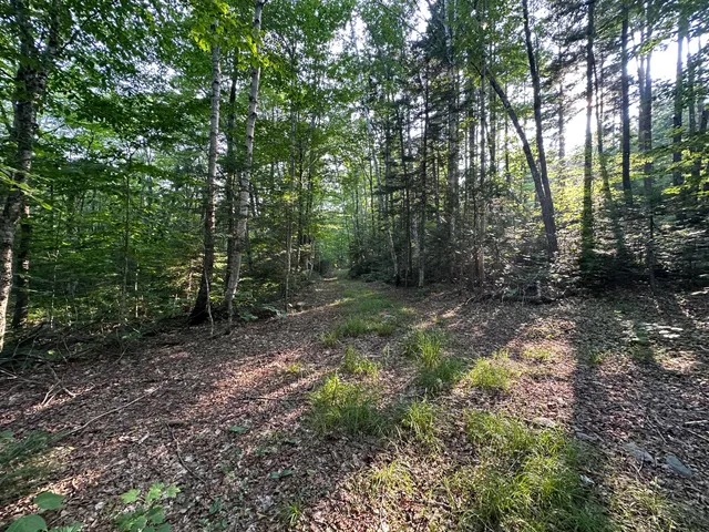 $159,900 | 32 Main Street, Sandy River Plt, ME 04970