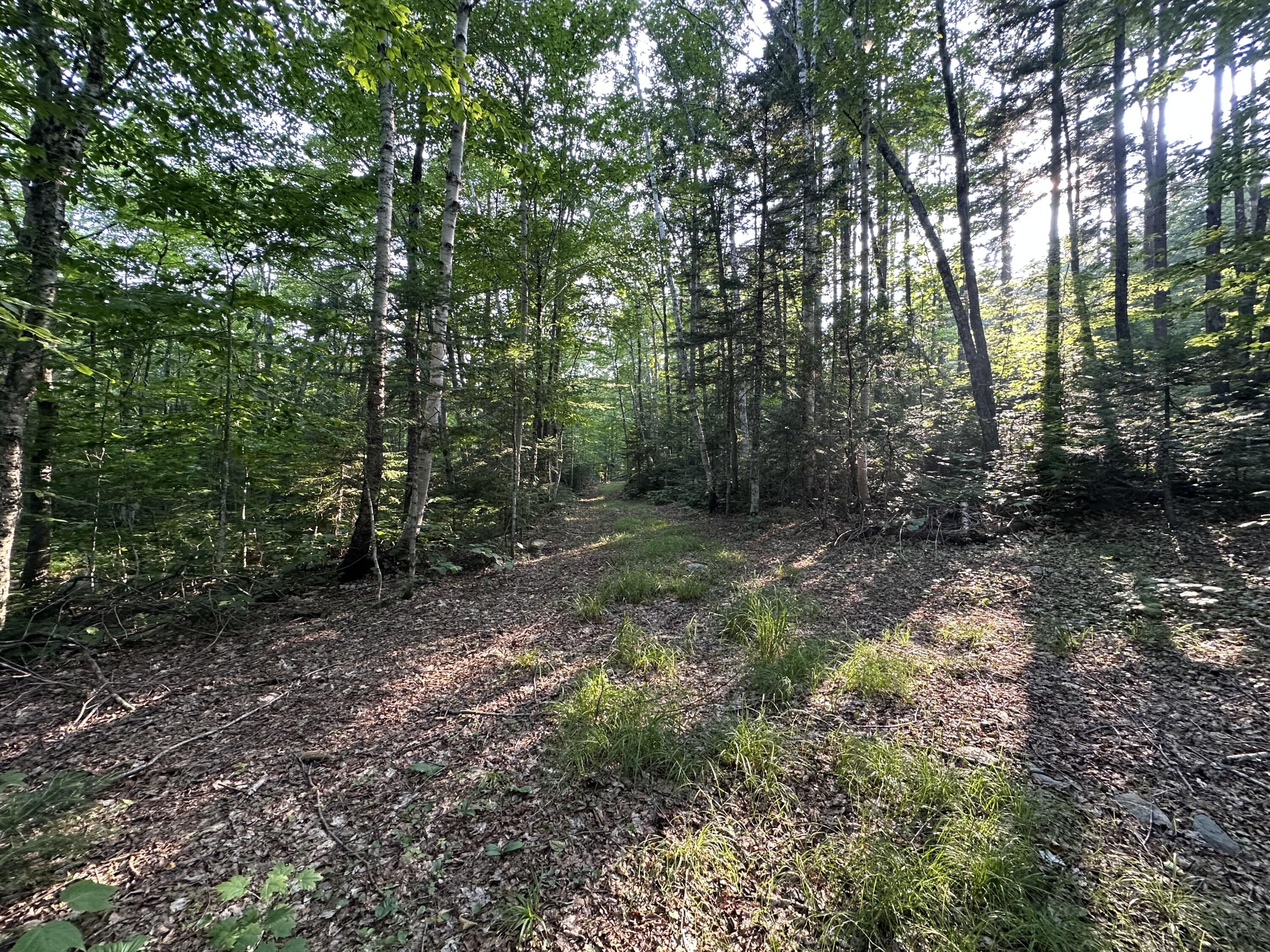 32 Main Street Sandy River Plt, ME 04970 - Photo 2 of 11 IMG_8069