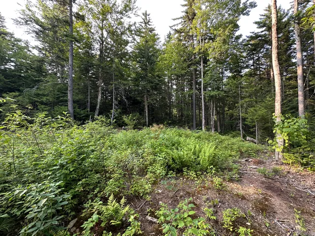 $159,900 | 32 Main Street, Sandy River Plt, ME 04970