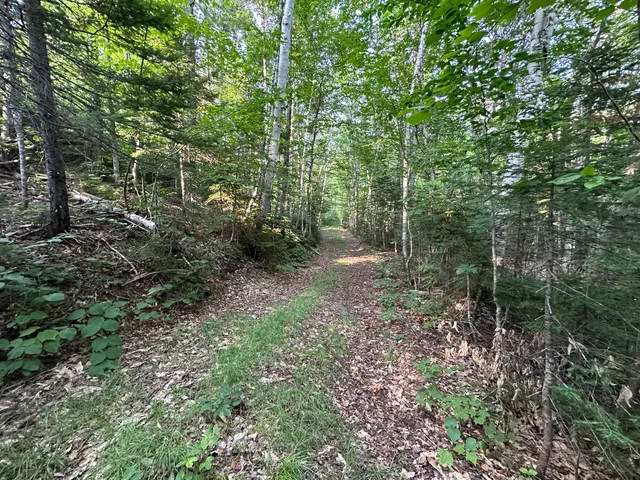 $159,900 | 32 Main Street, Sandy River Plt, ME 04970