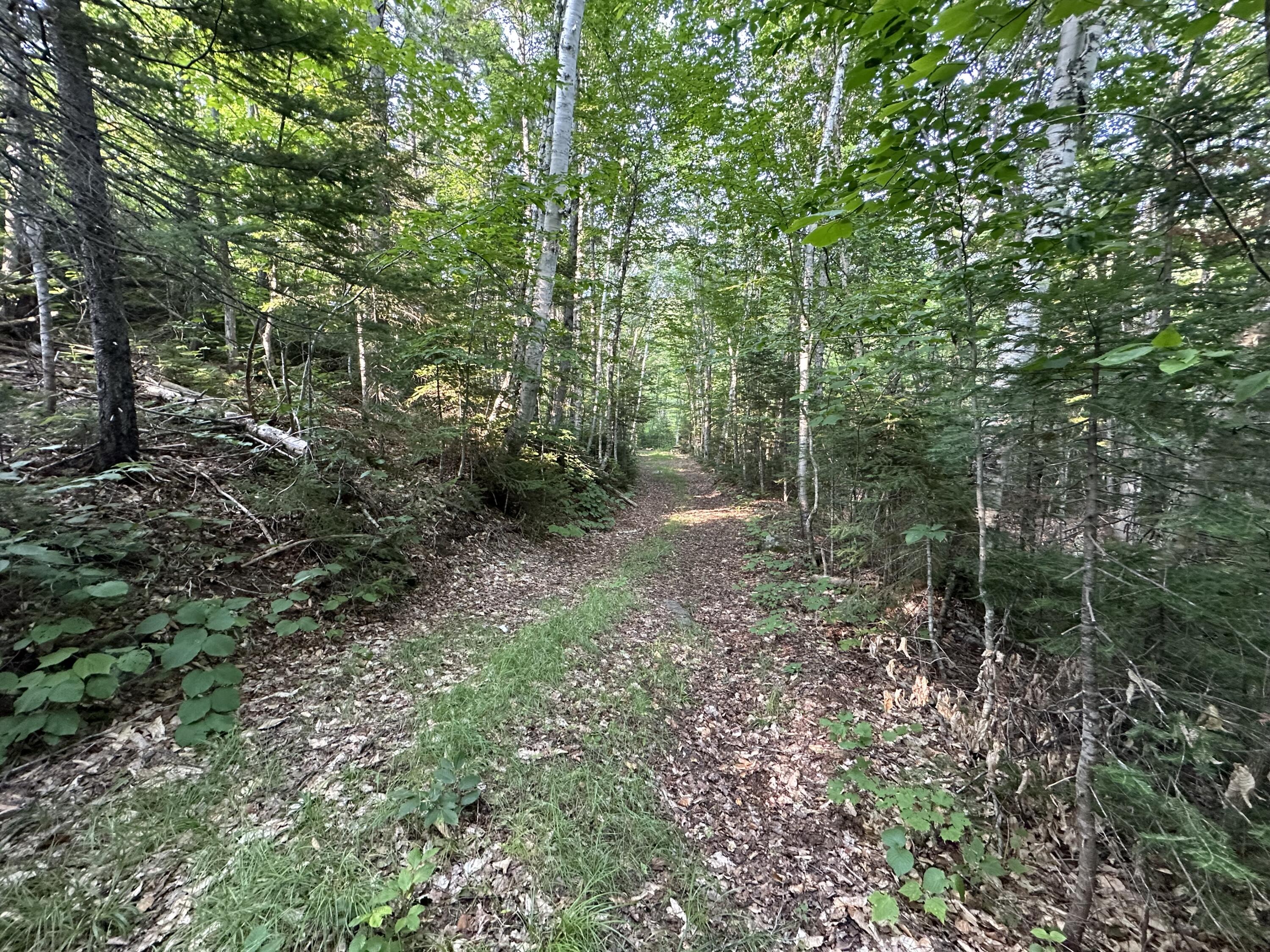 32 Main Street Sandy River Plt, ME 04970 - Photo 8 of 11 IMG_8067