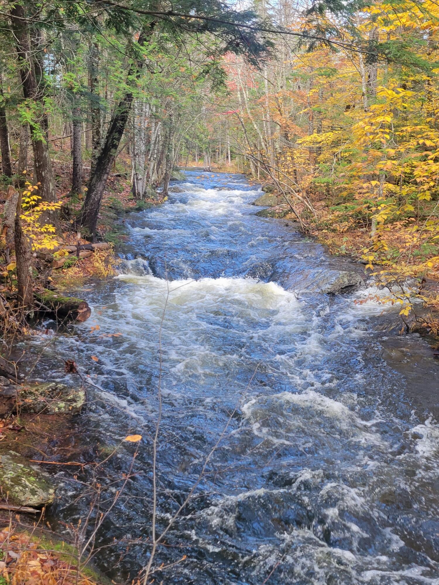 32 Main Street Sandy River Plt, ME 04970 - Photo 9 of 11 Resized_20221015_111828