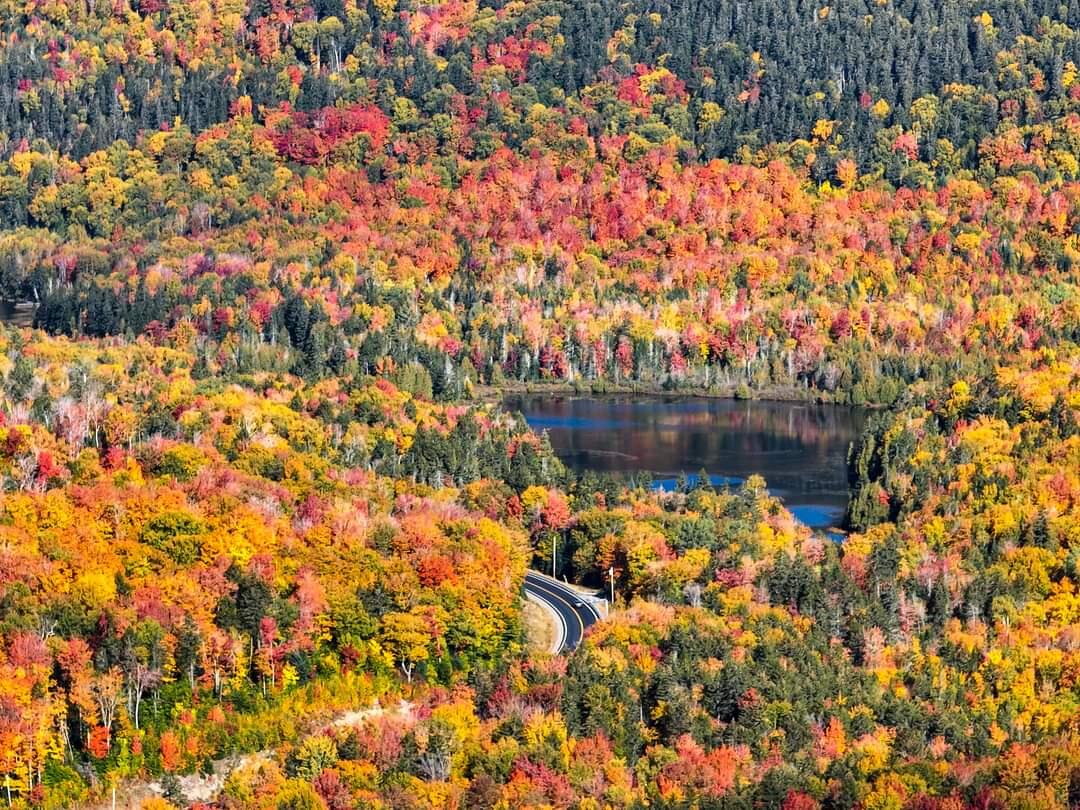 32 Main Street Sandy River Plt, ME 04970 - Photo 10 of 11 FB_IMG_1665101289971