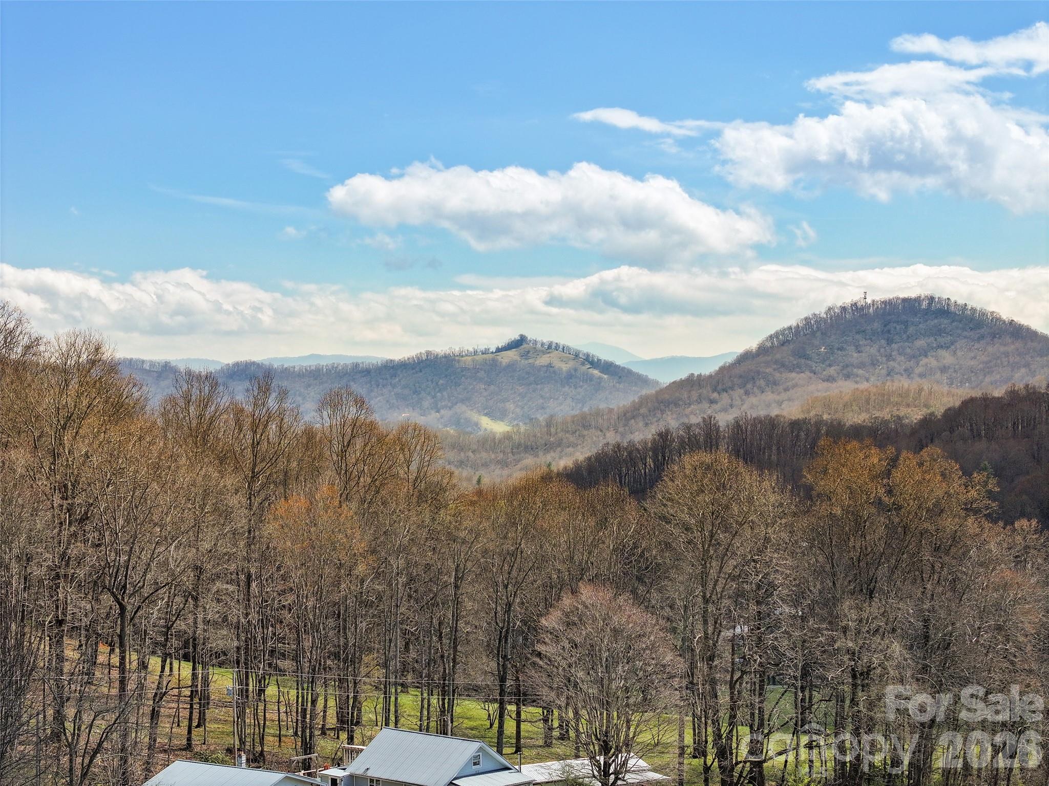 371 Ned Cove Road Waynesville, NC 28785 - Photo 30 of 44 a view of a city with mountains