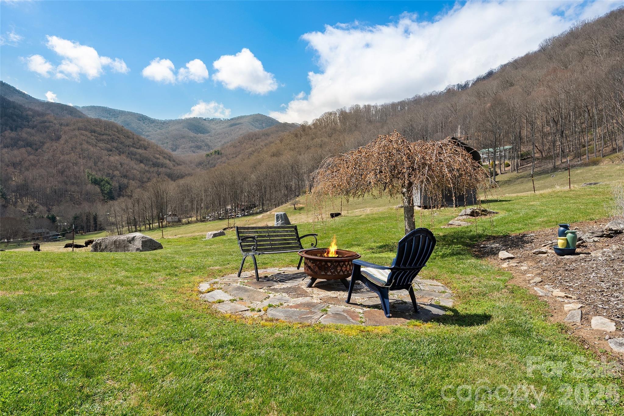 371 Ned Cove Road Waynesville, NC 28785 - Photo 40 of 44 a view of a garden with an outdoor seating