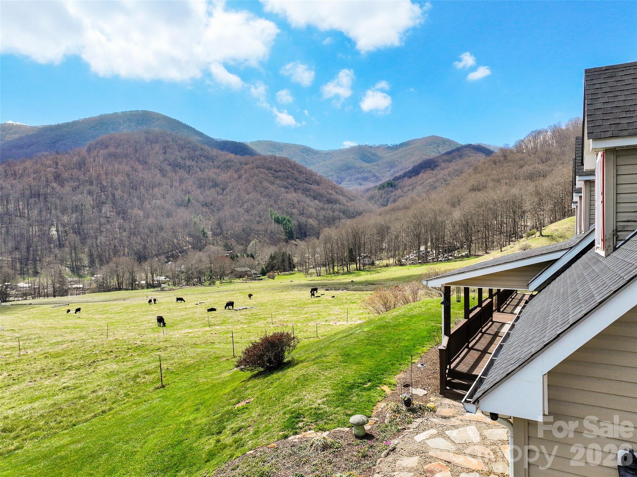 371 Ned Cove Road Waynesville, NC 28785 - Photo 4 of 44 a view of a city