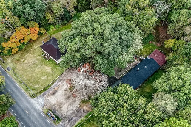a view of a yard with plants