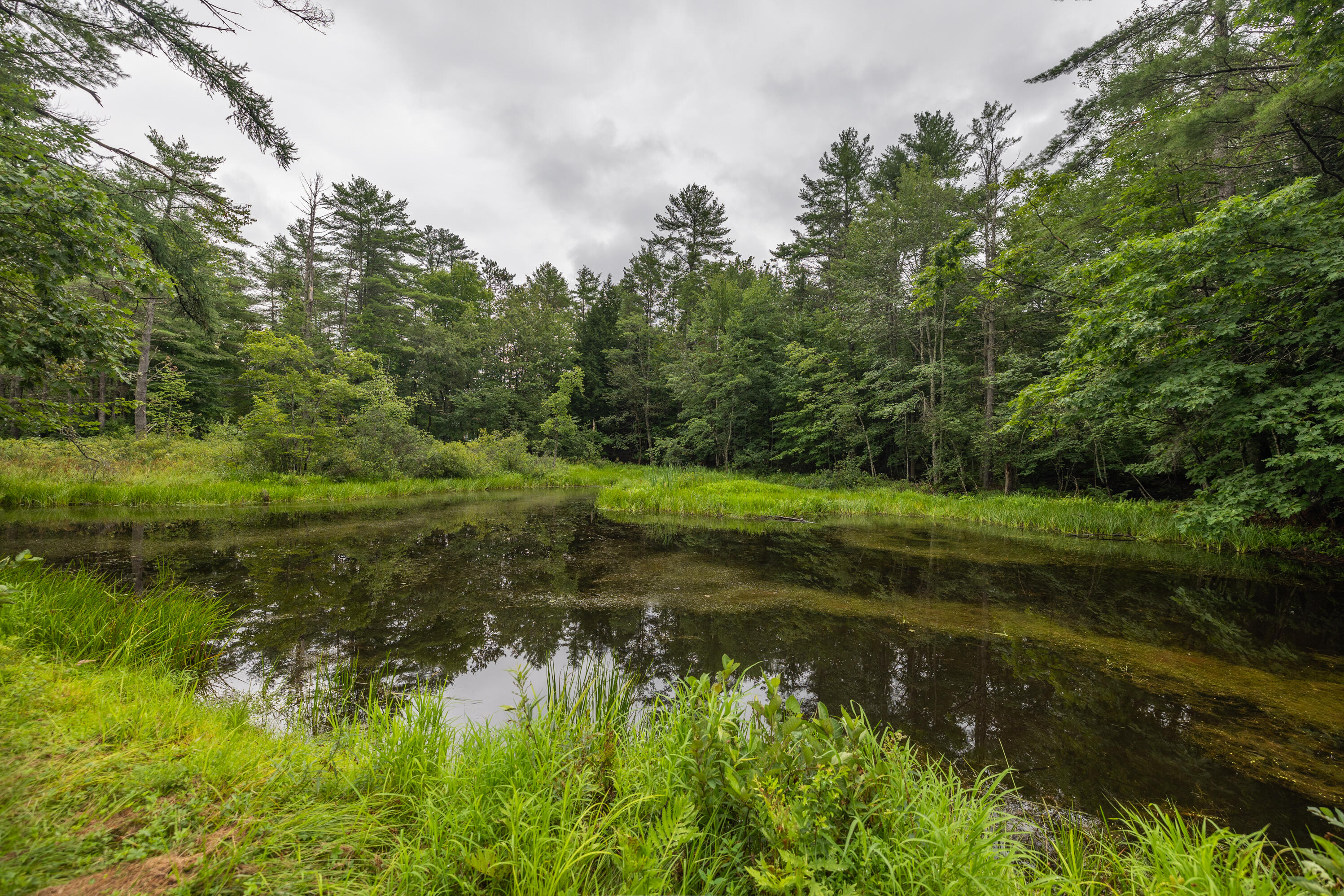 121 Brown Road Poland, ME 04274 - Photo 8 of 29 IMG_8745-HDR