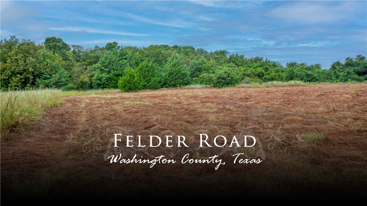Tbd Felder Road Washington, TX 77880 - Photo 1 of 1 View of local wilderness