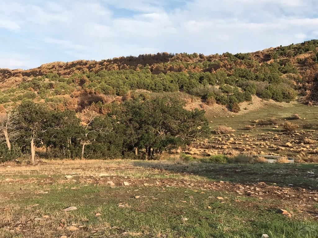 25 A Majors Ranch Road Walsenburg, CO 81089 - Photo 12 of 16 Gallery Image 12