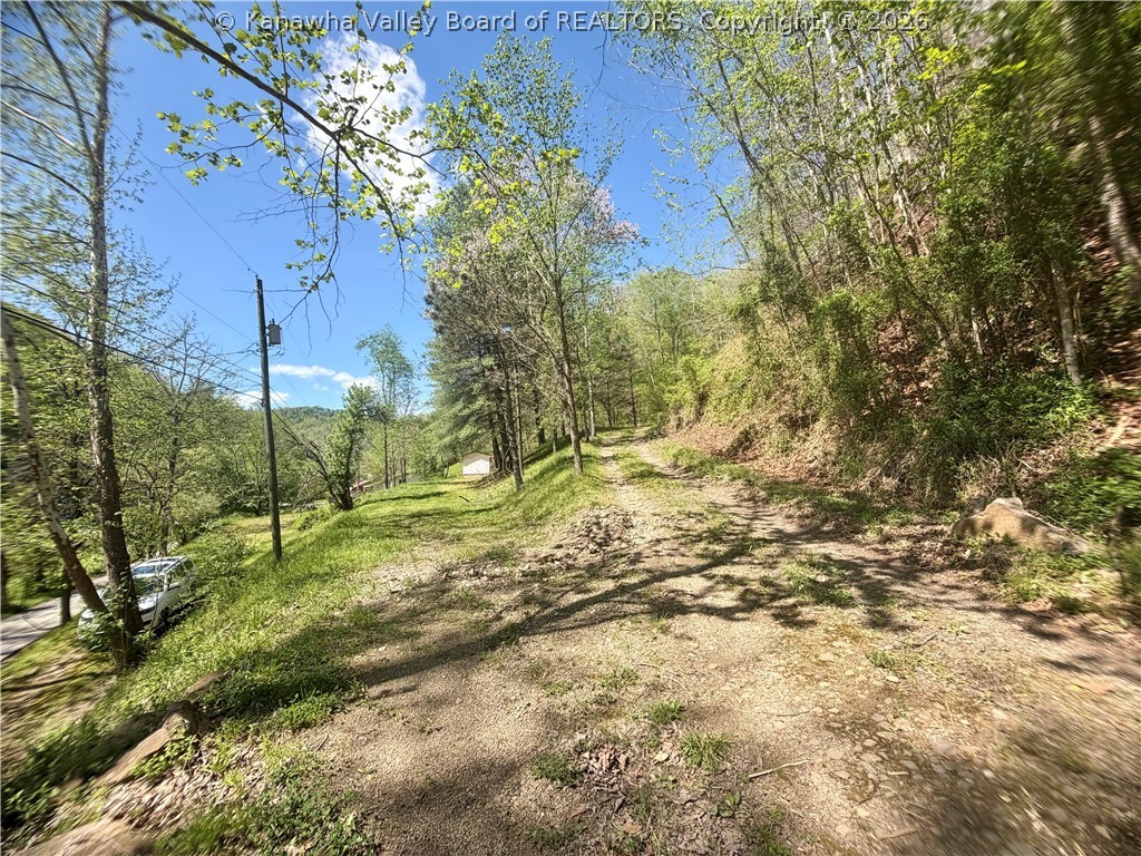 469 Tims Frk Road Chapmanville, WV 25508 - Photo 18 of 30 Gallery Image 18