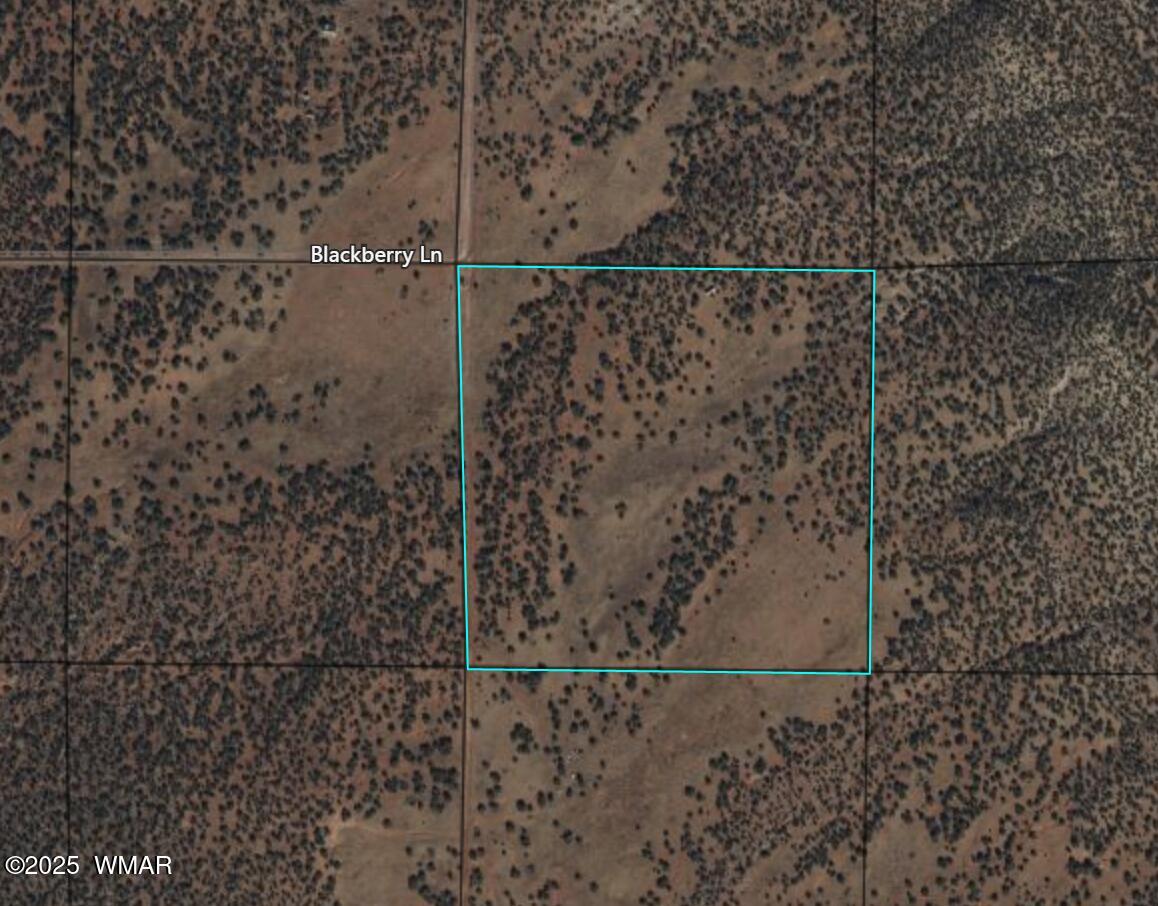 2837 Rebel Yell Road Show Low, AZ 85901 - Photo 13 of 14 Satellite Map 1