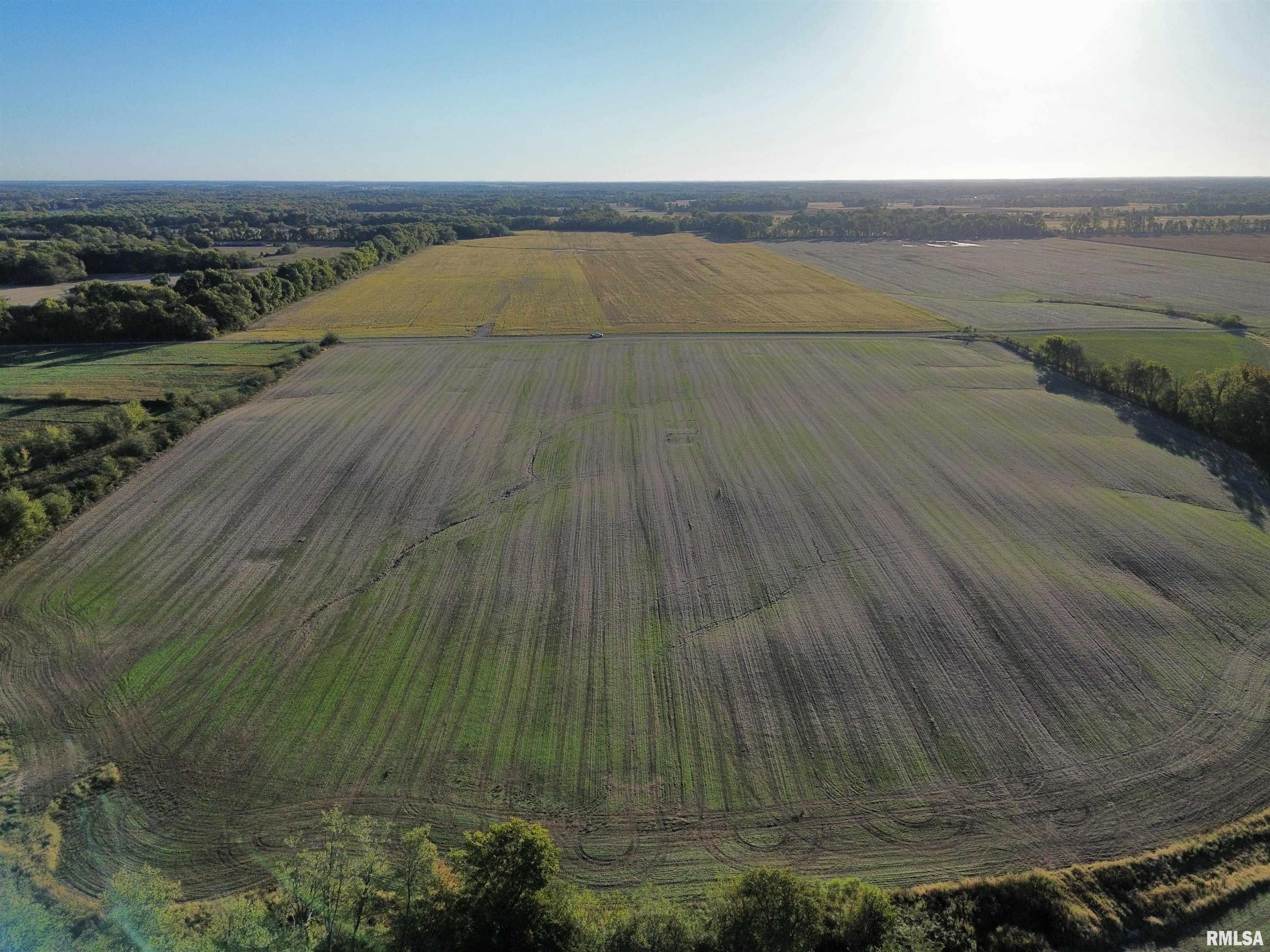 0 County Road 2100 Road North, Unit COUNTY Cisne, IL 62823 - Photo 11 of 20