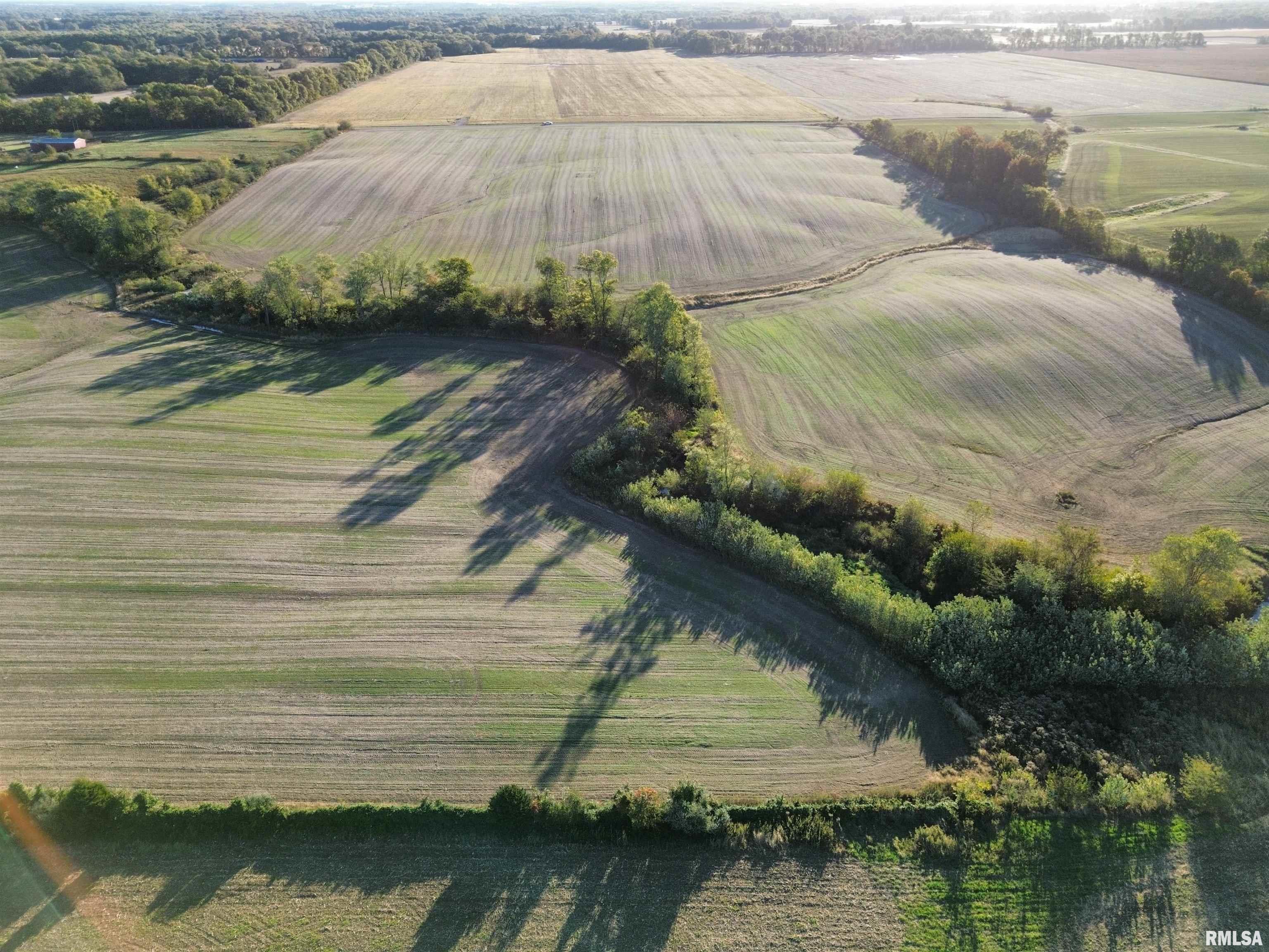 0 County Road 2100 Road North, Unit COUNTY Cisne, IL 62823 - Photo 12 of 20