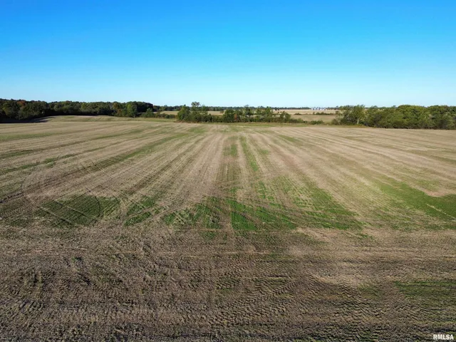 $922,000 | 0 County Road 2100 Road North, Unit COUNTY, Cisne, IL 62823