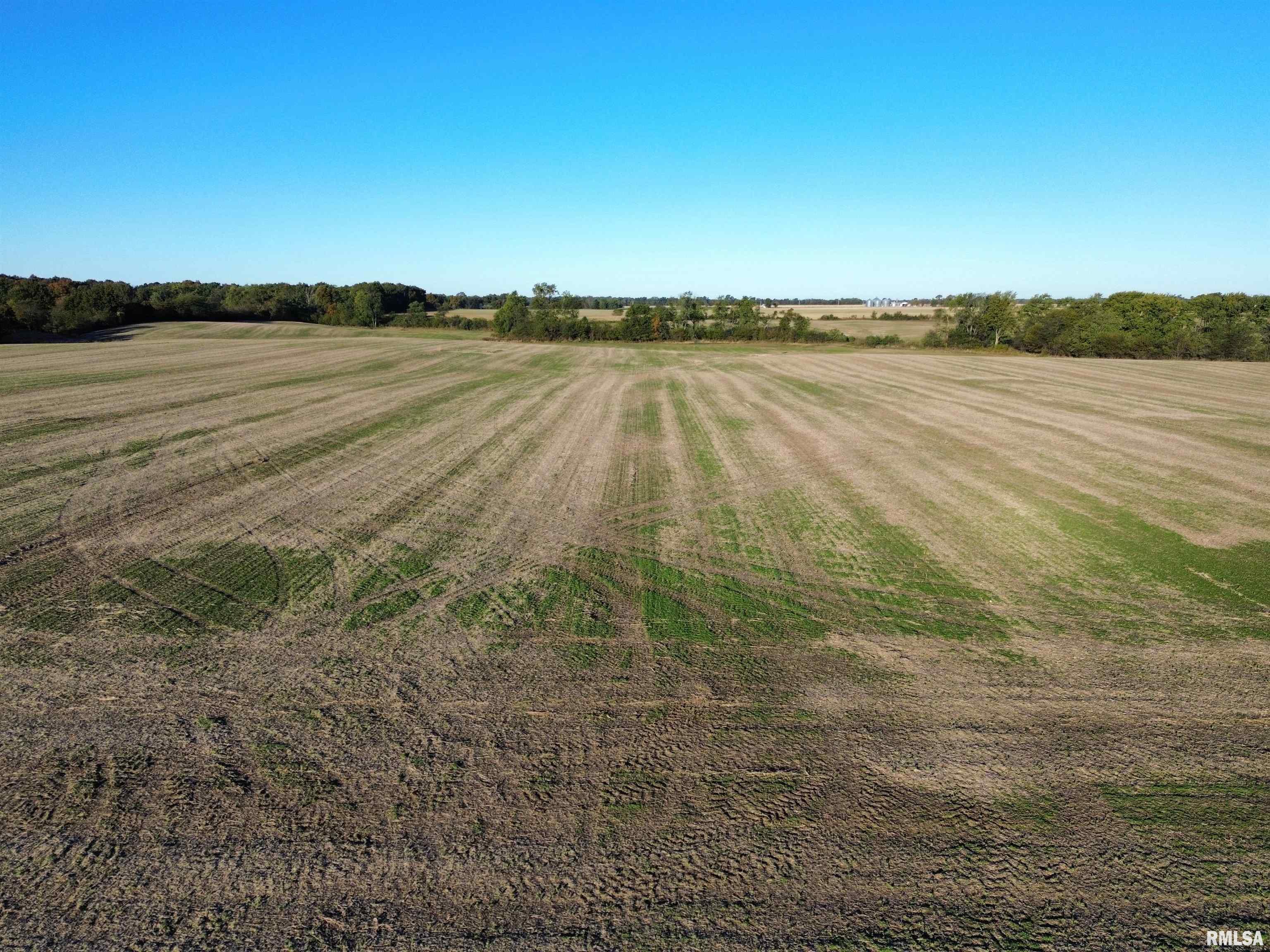 0 County Road 2100 Road North, Unit COUNTY Cisne, IL 62823 - Photo 13 of 20