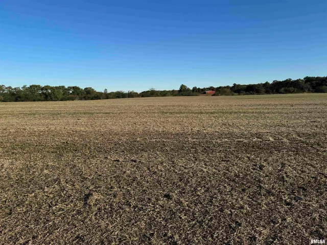 $922,000 | 0 County Road 2100 Road North, Unit COUNTY, Cisne, IL 62823