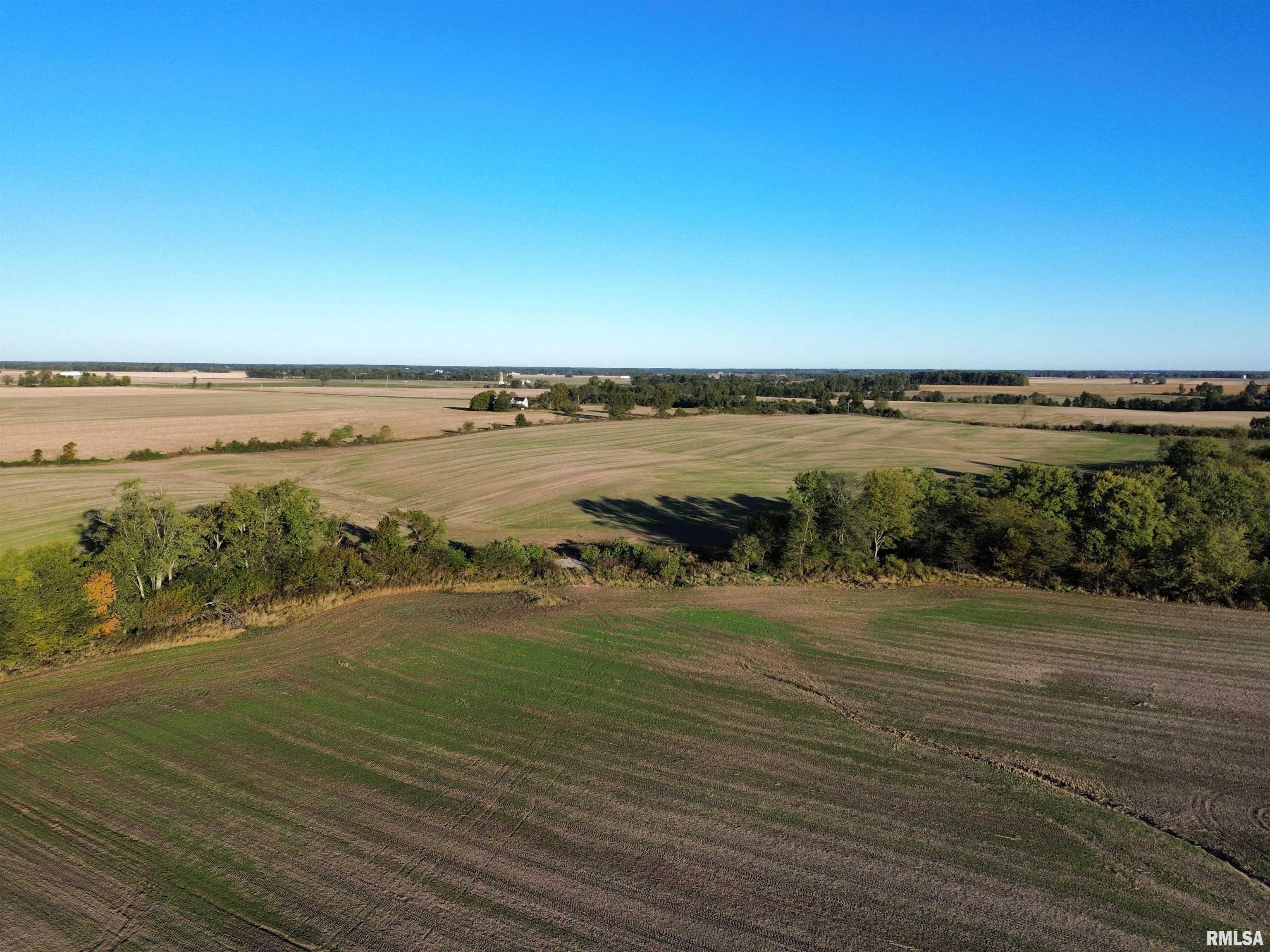 0 County Road 2100 Road North, Unit COUNTY Cisne, IL 62823 - Photo 10 of 20