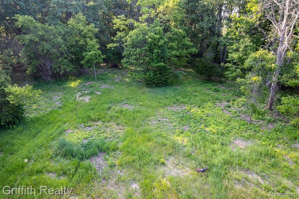 4433 Brighton Road Howell, MI 48843 - Photo 9 of 29