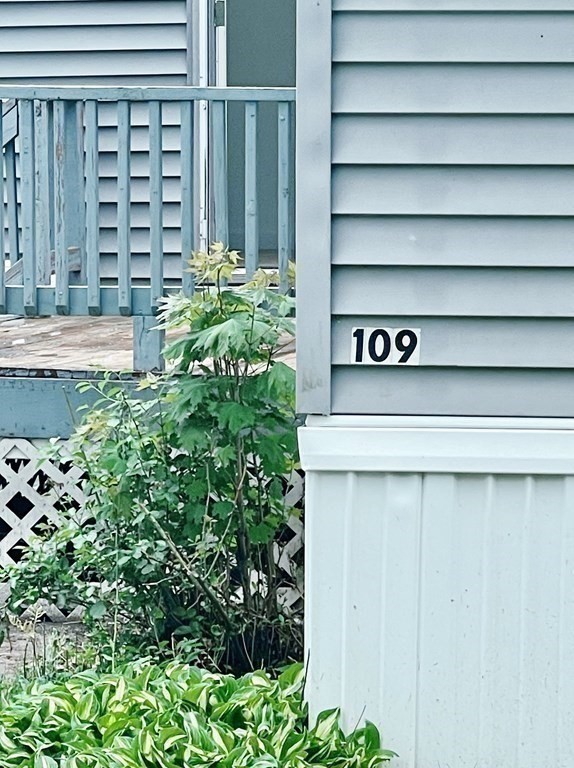 270 Littleton Road, Unit 109 Chelmsford, MA 01824 - Photo 32 of 41 a close up of a potted plant