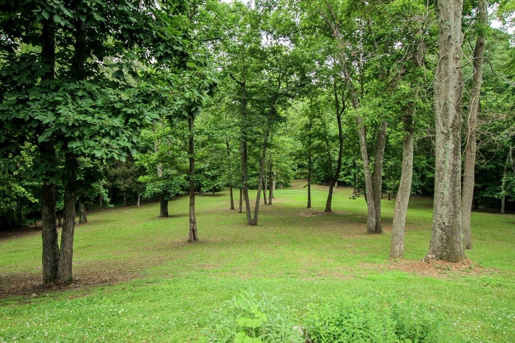 6587 Cairo Bend Road Lebanon, TN 37087 - Photo 26 of 30 Gallery Image 26