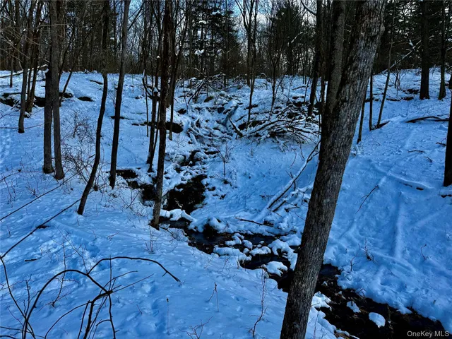 $259,000 | 266 Pitts Road, Chatham, NY 12136