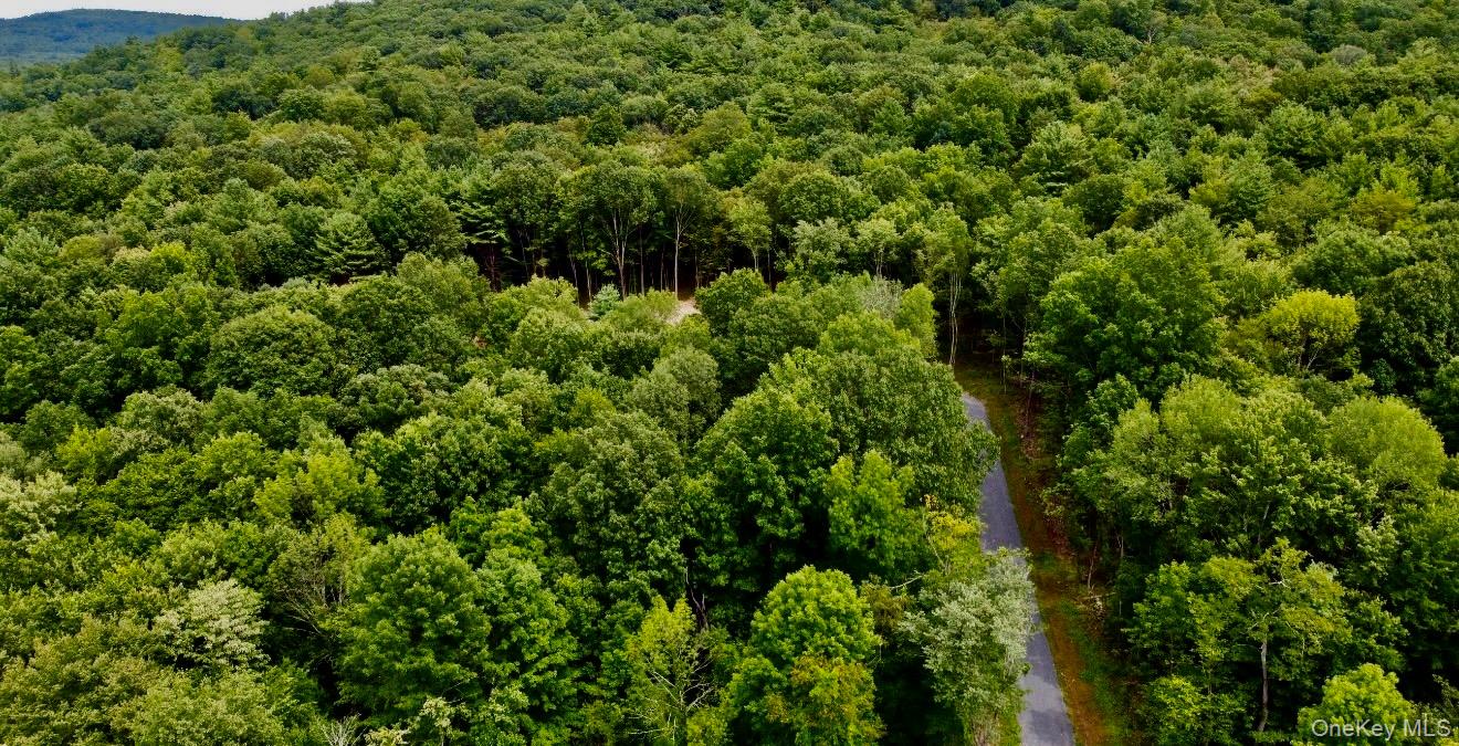 266 Pitts Road Chatham, NY 12136 - Photo 14 of 18 an aerial view of a house with a yard