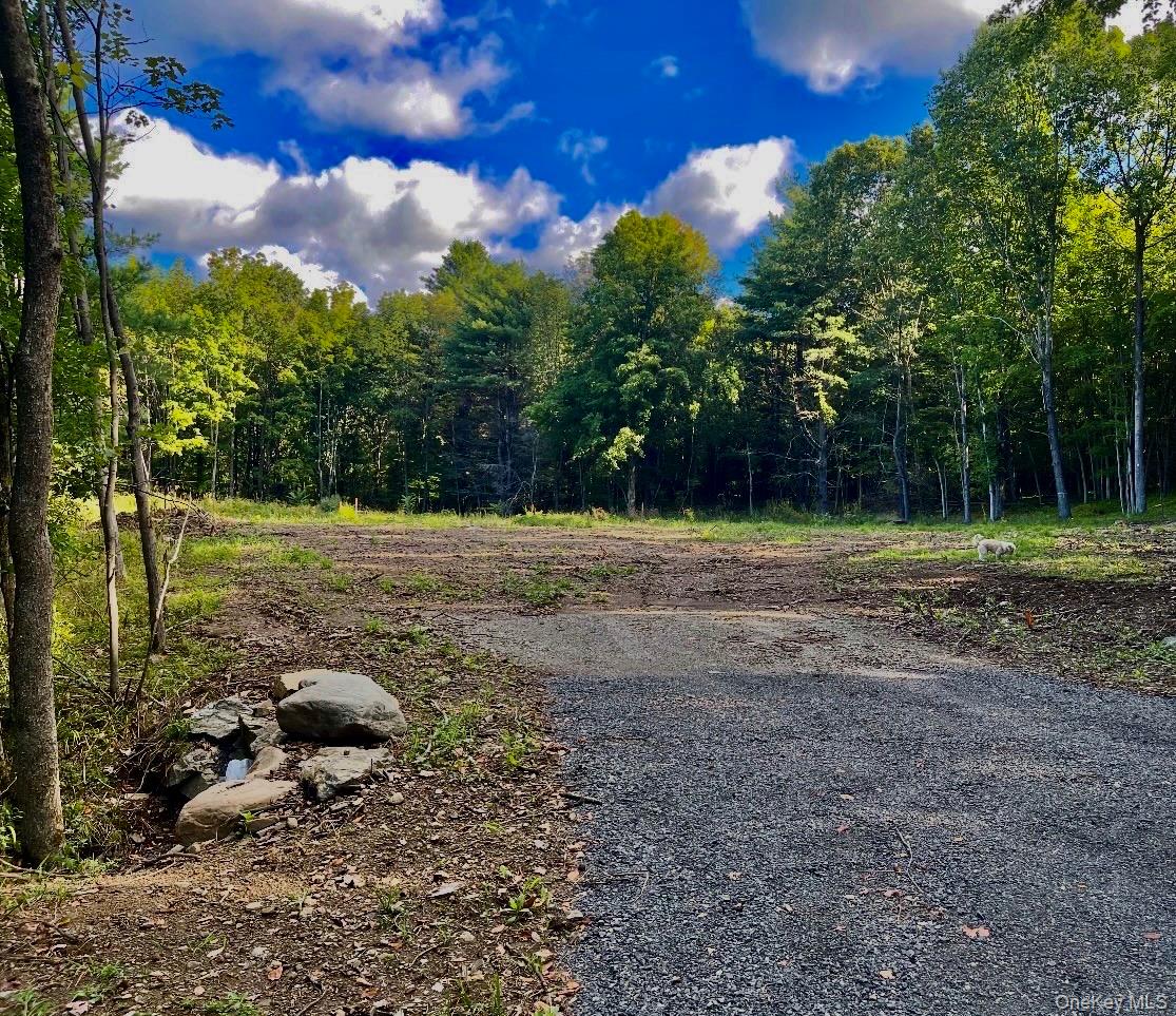 266 Pitts Road Chatham, NY 12136 - Photo 15 of 18 a view of a field with trees in background