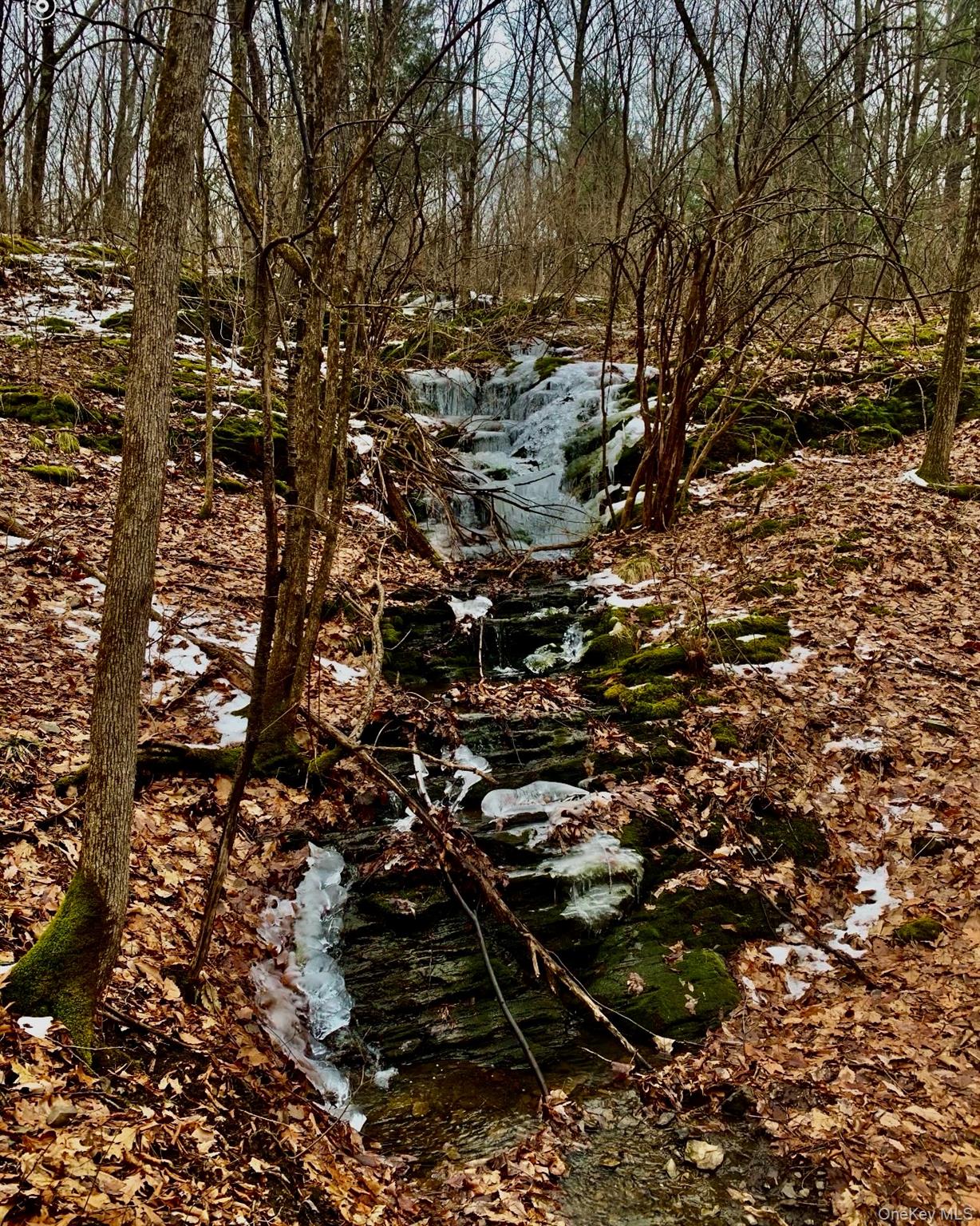 266 Pitts Road Chatham, NY 12136 - Photo 16 of 18 a view of outdoor space