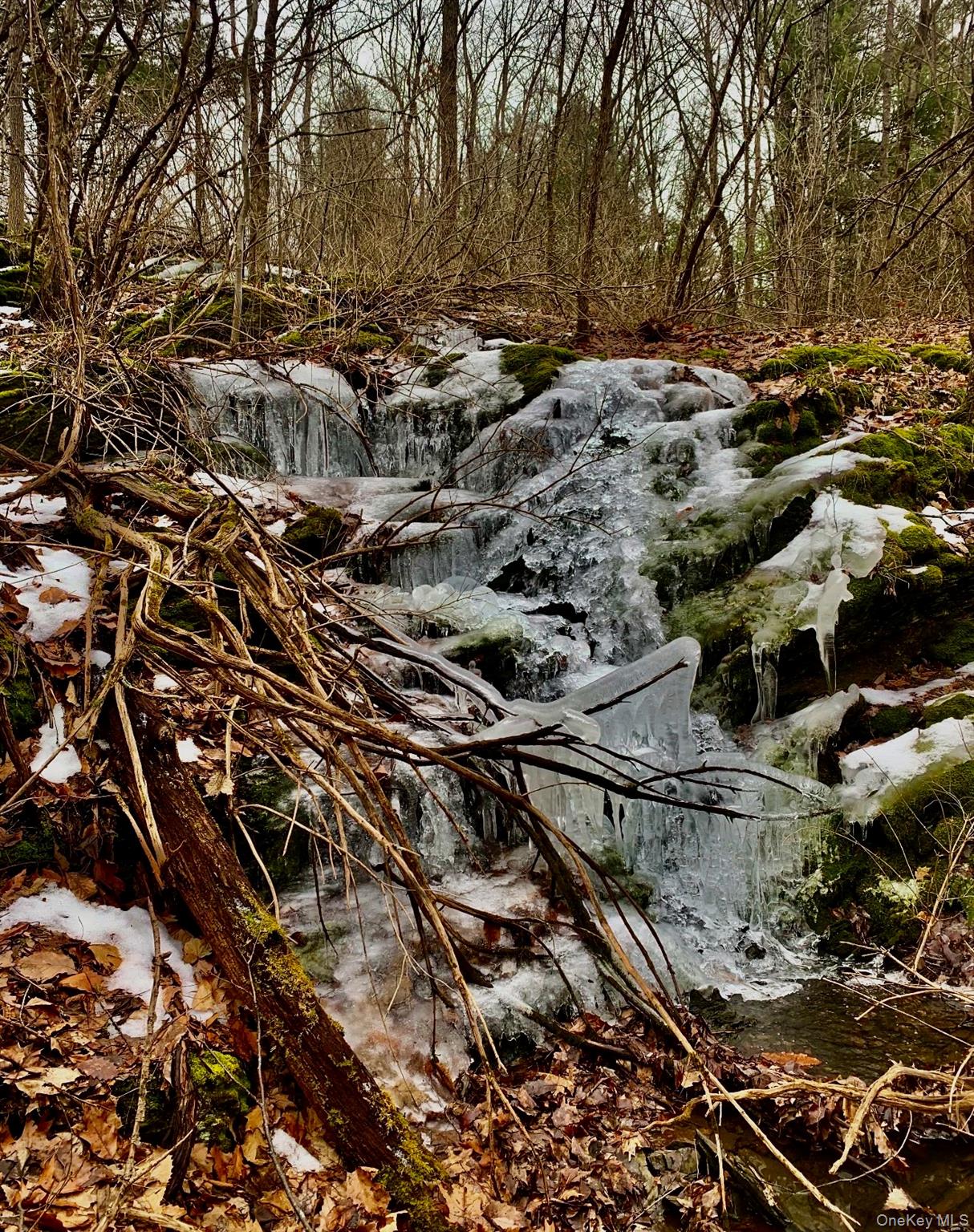 266 Pitts Road Chatham, NY 12136 - Photo 17 of 18 a view of a yard