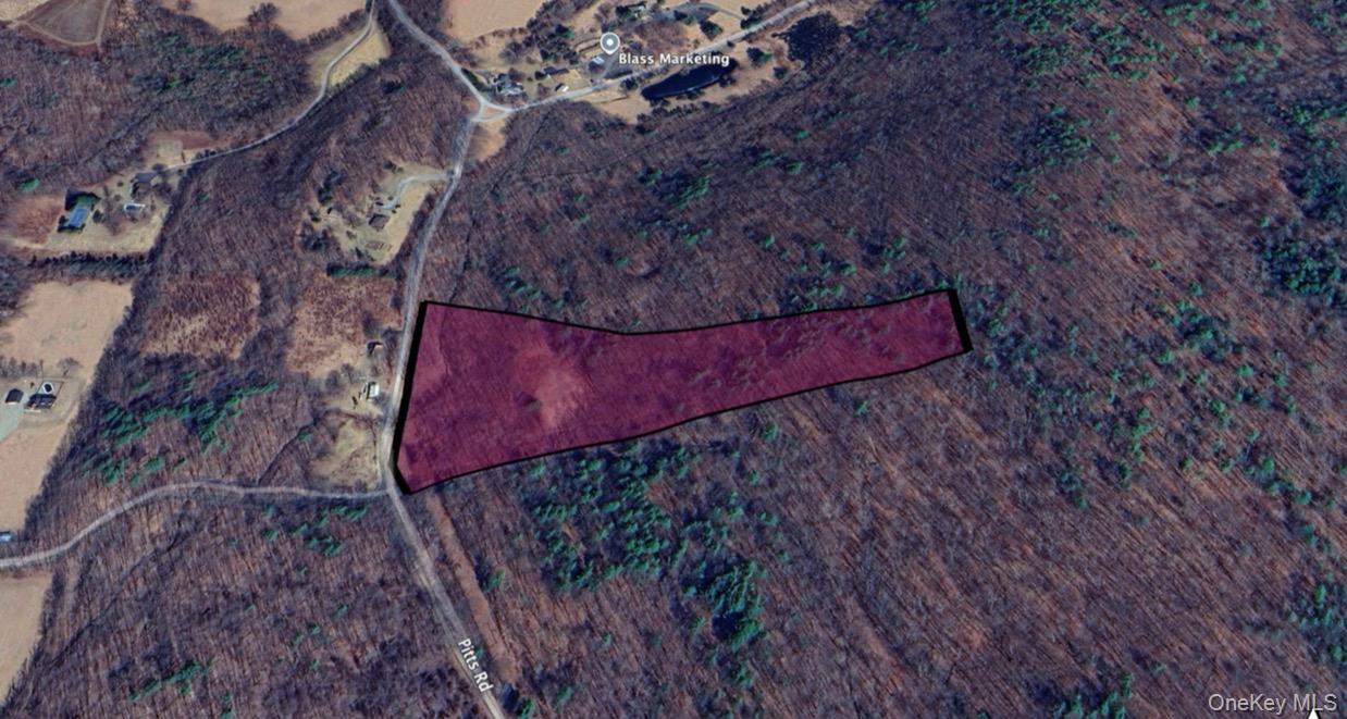 266 Pitts Road Chatham, NY 12136 - Photo 18 of 18 a view of a dry yard