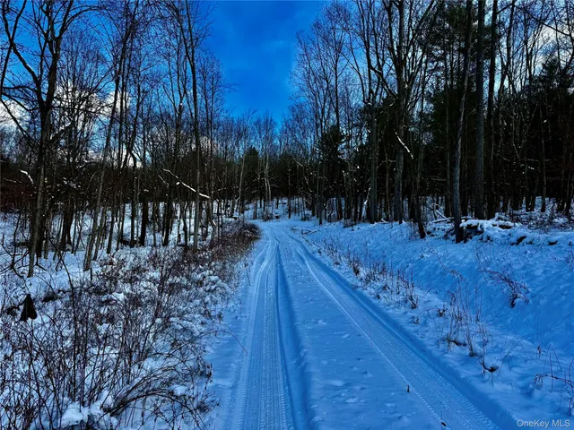 $259,000 | 266 Pitts Road, Chatham, NY 12136