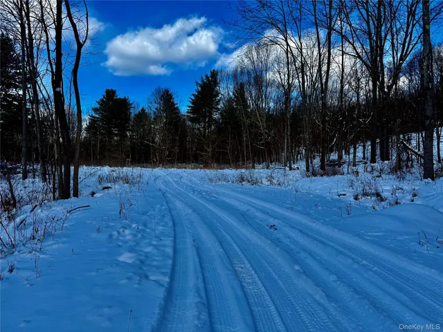 $259,000 | 266 Pitts Road, Chatham, NY 12136