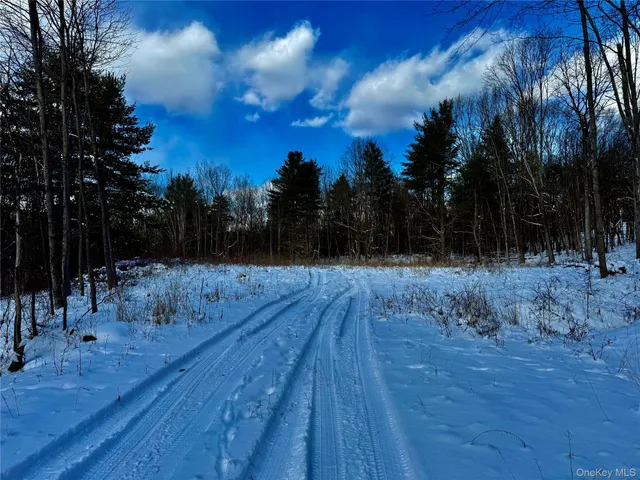 $259,000 | 266 Pitts Road, Chatham, NY 12136