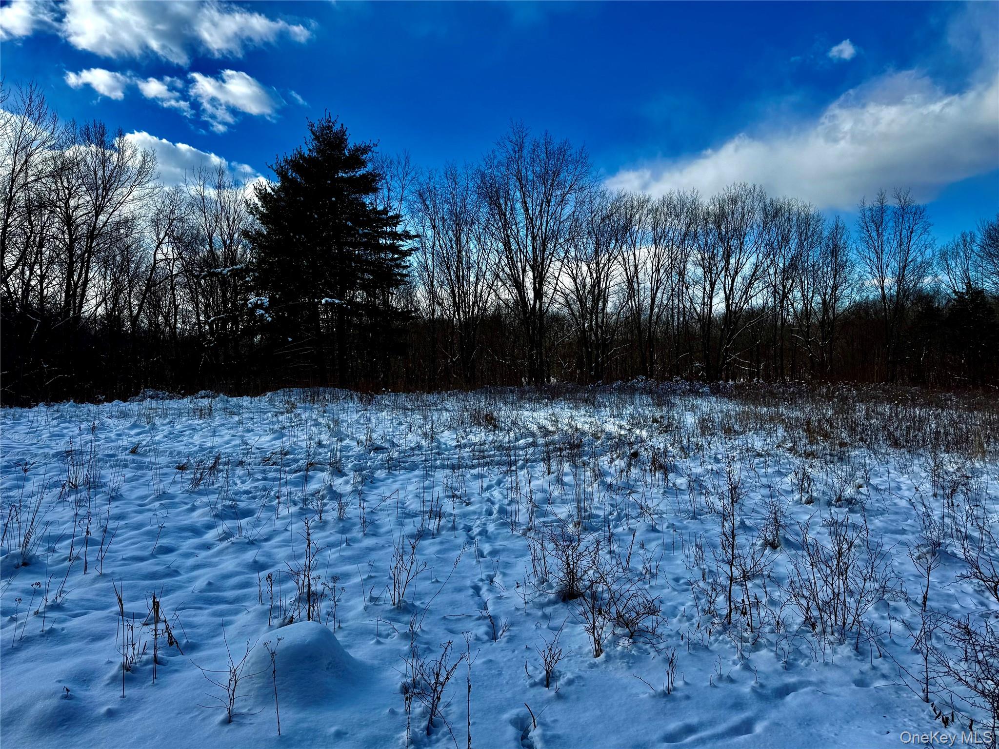 266 Pitts Road Chatham, NY 12136 - Photo 5 of 13 Housesite