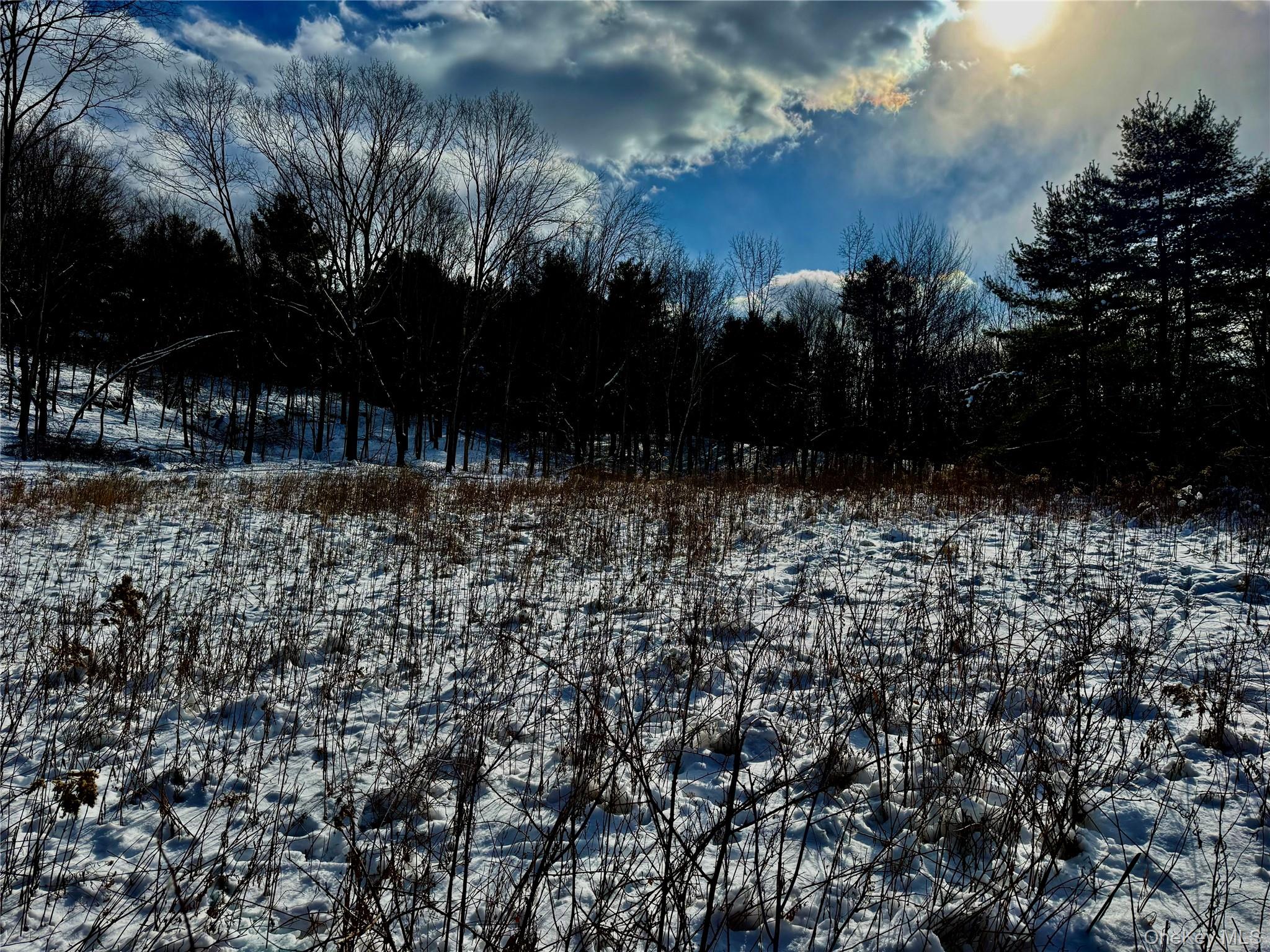 266 Pitts Road Chatham, NY 12136 - Photo 6 of 13