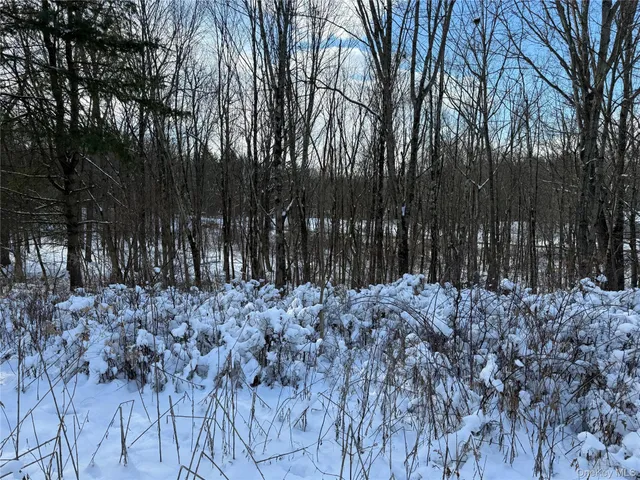 $259,000 | 266 Pitts Road, Chatham, NY 12136