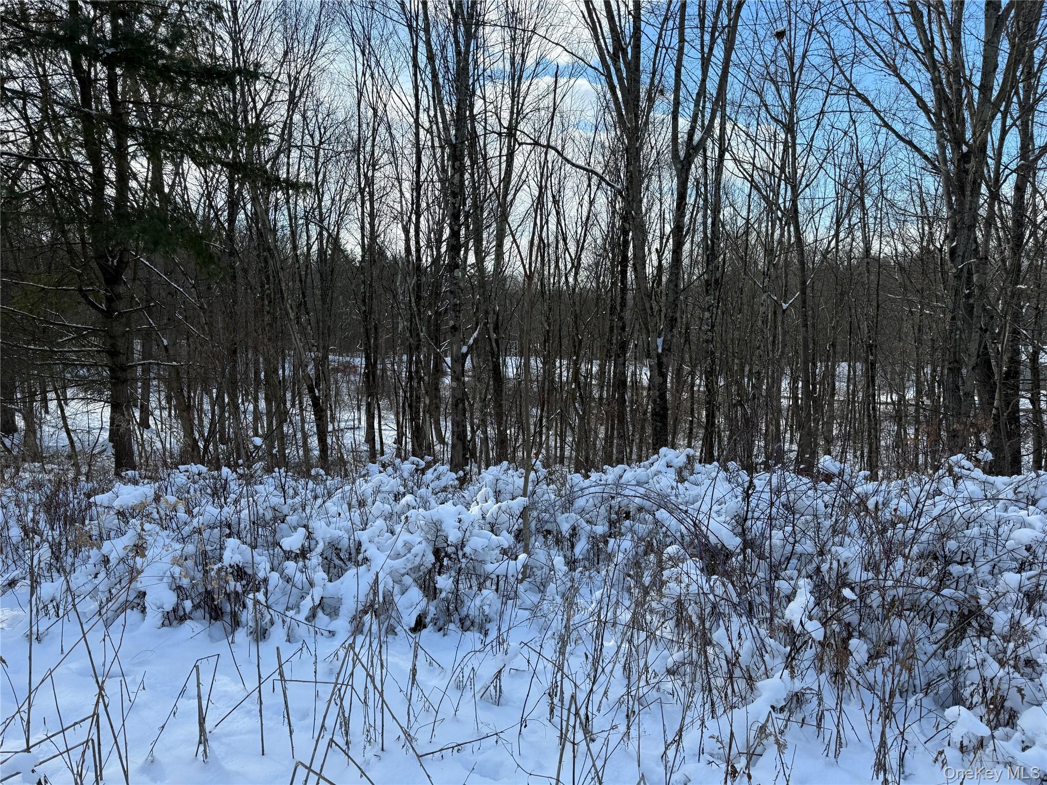 266 Pitts Road Chatham, NY 12136 - Photo 7 of 13