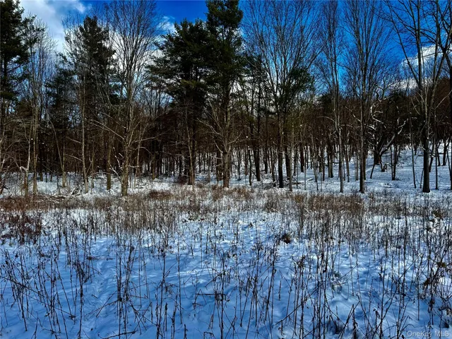 $259,000 | 266 Pitts Road, Chatham, NY 12136