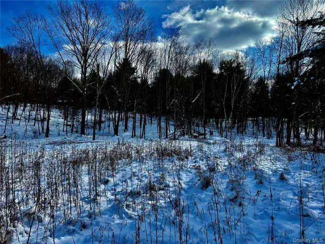 $259,000 | 266 Pitts Road, Chatham, NY 12136