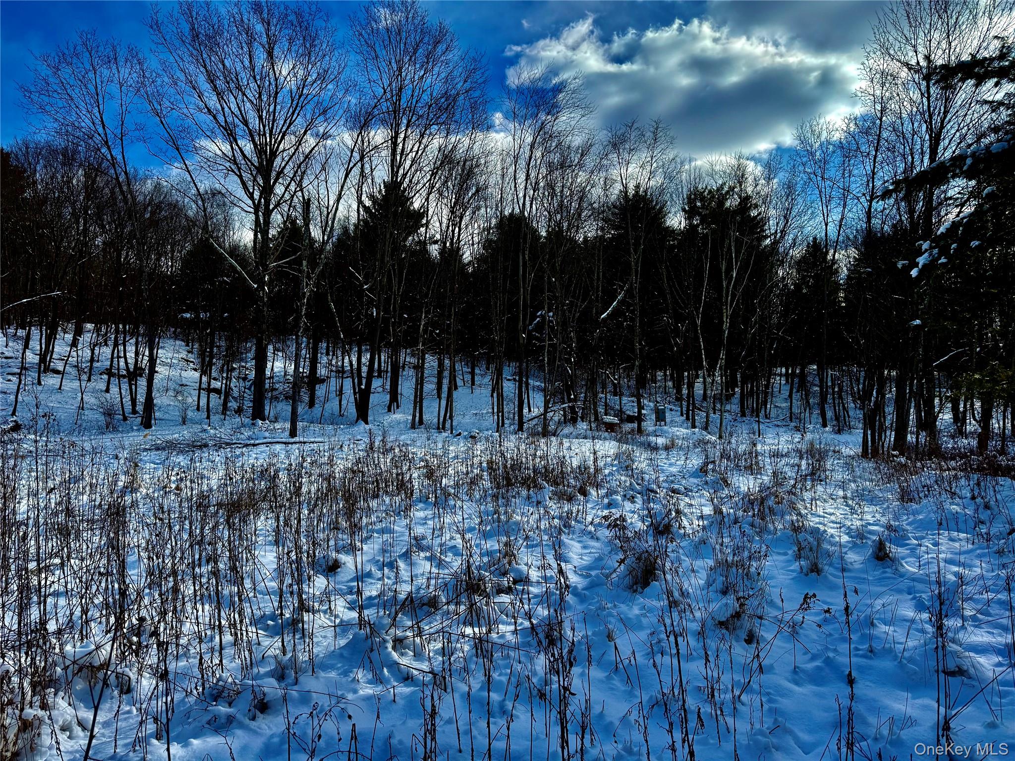 266 Pitts Road Chatham, NY 12136 - Photo 9 of 13